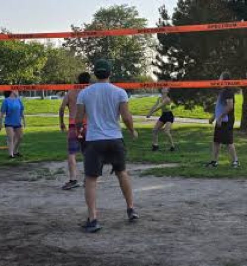 volleyball-grass